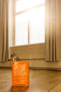 B.K.S. Iyengar: Licht auf Yoga